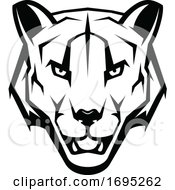 Cougar Mascot by Vector Tradition SM