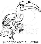Poster, Art Print Of Rhinoceros Hornbill Bird