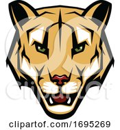 Cougar Mascot by Vector Tradition SM