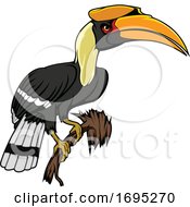 Rhinoceros Hornbill Bird