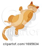Poster, Art Print Of Cat Pet Show Belly Illustration