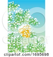 Poster, Art Print Of Snow Flocked Pinecone On A Branch