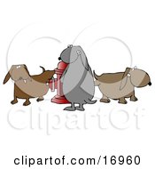 Group Of Bad And Mischievous Brown And Gray Dogs Pissing On A Red Fire Hydrant