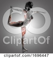 3D Female Figure In Lord Of The Dance Yoga Pose With Muscles Used Highlighted