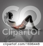 3D Female Figure In Sit Up Pose With Muscles Highlighted