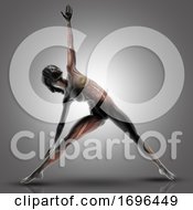 Poster, Art Print Of 3d Female Figure In Triangle Yoga Pose With Muscles Used Highlighted