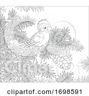Poster, Art Print Of Crossbill Bird On A Branch With A Pinecone