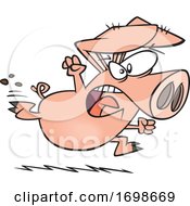 Poster, Art Print Of Cartoon Running Angry Pig