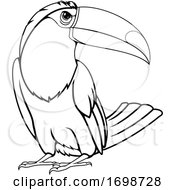 Poster, Art Print Of Toucan Bird Mascot