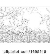 Poster, Art Print Of Bird In Grass