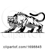 Poster, Art Print Of Black And White Angry Tiger