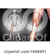 Poster, Art Print Of 3d Male Medical Figure With Knee Muscles Highlighted