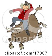 Male Caucasian Cowboy Holding Onto His Hat While Riding A Bucking Bronco Bull During A Rodeo