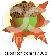 Poster, Art Print Of Whole Acorn On Top Of Fallen Autumn Maple Leaves