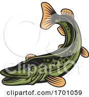 Poster, Art Print Of Swimming Pike Fish