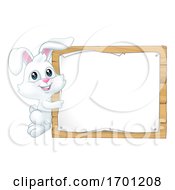 Easter Bunny Rabbit Sign Background Cartoon