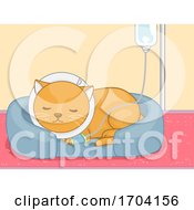 Poster, Art Print Of Cat Pet Dextrose Sick Illustration