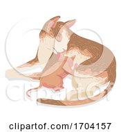 Cat Kitten Breastfeeding Illustration