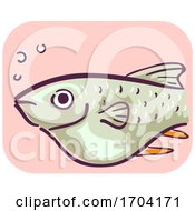 Poster, Art Print Of Barb Fish Bloated Constipation Illustration