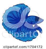 Betta Pet Fish Illustration