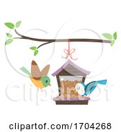 Birds Bird Feeder Illustration