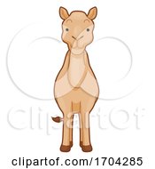 Poster, Art Print Of Camel Front View Illustration