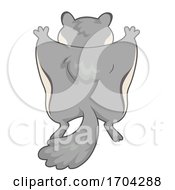 Poster, Art Print Of Flying Squirrel Back View Illustration