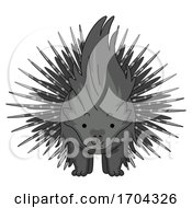 Poster, Art Print Of Porcupine Front View Illustration