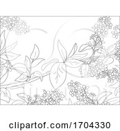 Poster, Art Print Of Branches And Spring Blossoms