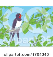 Poster, Art Print Of Swallow On A Branch
