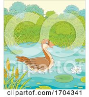Poster, Art Print Of Wild Goose On A Pond