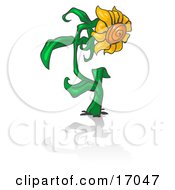 Giant Yellow Sunflower With Golden Yellow Petals And An Orange Center Growing On A Thick Green Stalk In A Garden Clipart Illustration