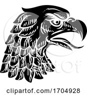 Poster, Art Print Of Eagle Falcon Hawk Or Phoenix Head Face Mascot