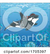Poster, Art Print Of Pirate Killer Whale Orca Swimming