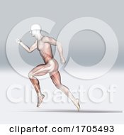 Poster, Art Print Of 3d Medical Figure In Running Pose With Muscle Map