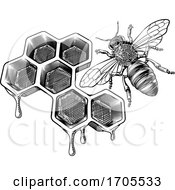 Poster, Art Print Of Honey Bumble Bee And Honeycomb Vintage Drawing