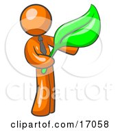 Orange Man Holding A Green Leaf Symbolizing Gardening Landscaping Or Organic Products Clipart Illustration