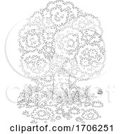 Poster, Art Print Of Mature Tree