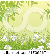 Poster, Art Print Of Daisies And Foliage