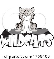 Poster, Art Print Of Cartoon Grayscale Leopard School Sports Mascot Sitting On Wildcats Text
