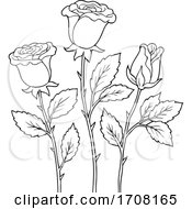 Poster, Art Print Of Black And White Rose Flowers