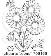 Poster, Art Print Of Black And White Daisy Flowers