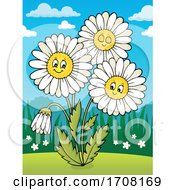 Poster, Art Print Of Daisy Flowers