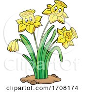 Poster, Art Print Of Daffodil Flowers