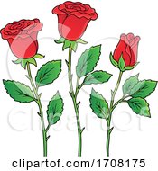 Poster, Art Print Of Rose Flowers