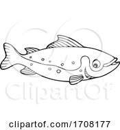 Poster, Art Print Of Salmon Fish
