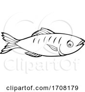 Poster, Art Print Of Sardine Fish