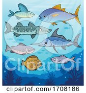Group Of Fish