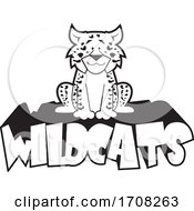 Poster, Art Print Of Cartoon Black And White Leopard School Sports Mascot Sitting On Wildcats Text