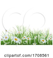 Poster, Art Print Of Grass And Daisy Background On White